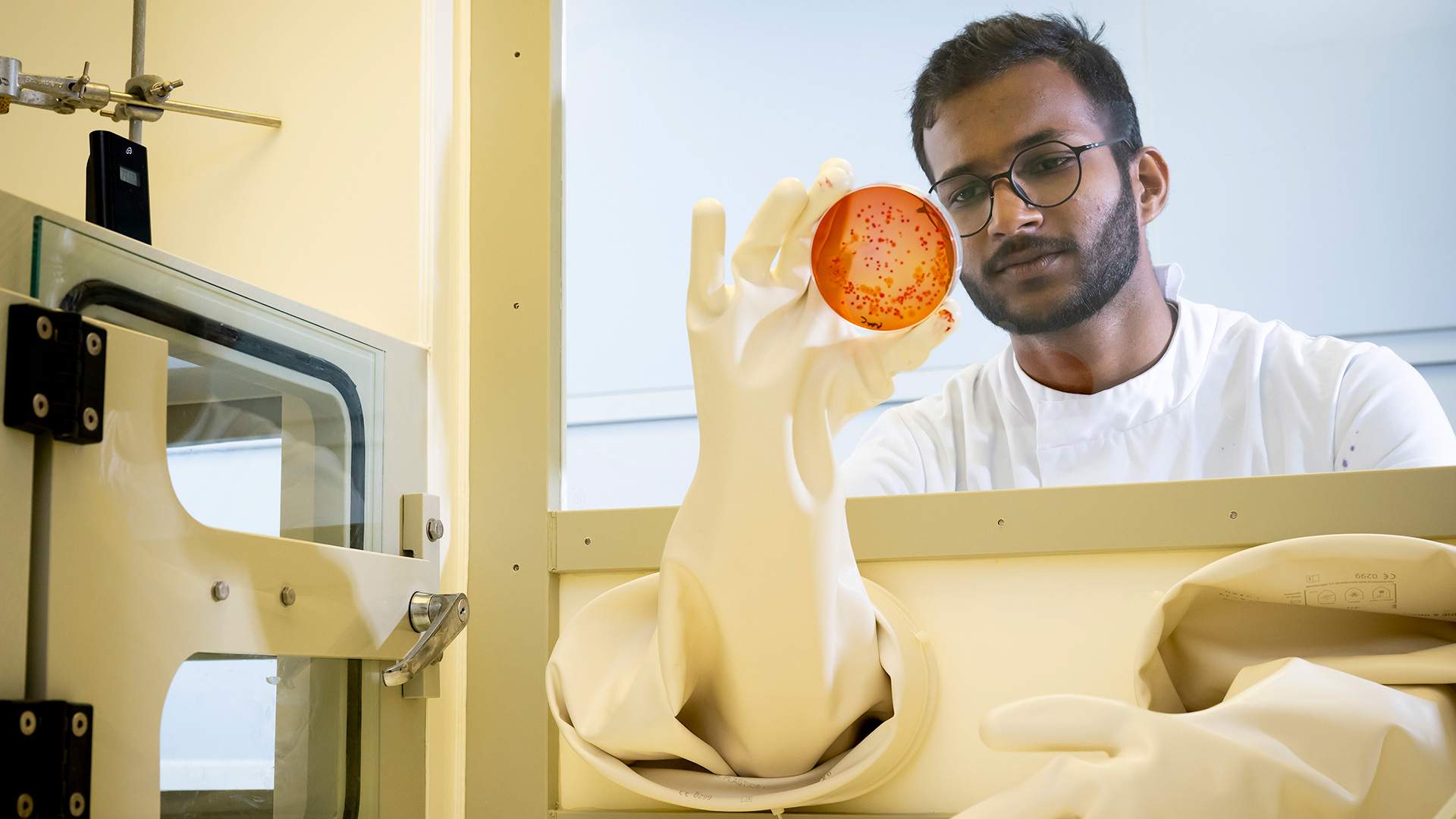 Research header