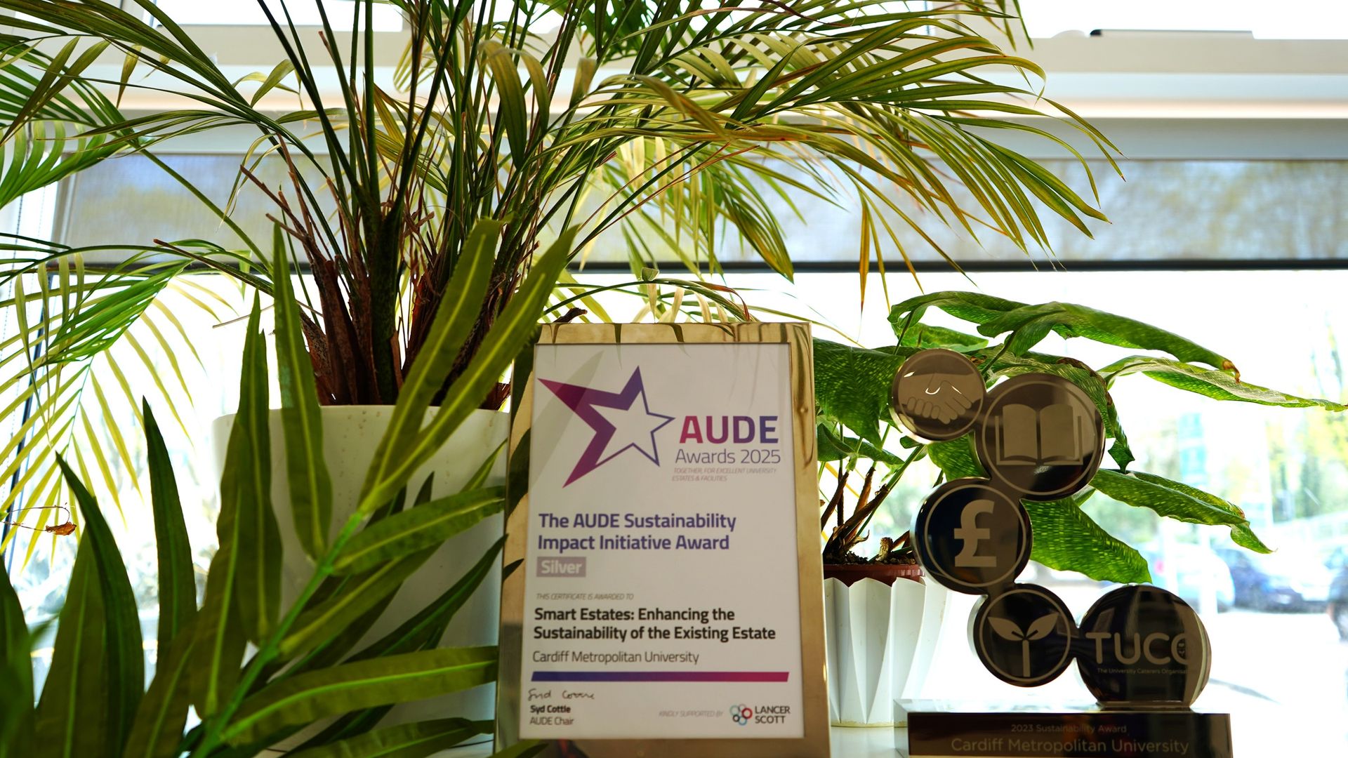 A framed certificate and large gold award trophy sit beside planted pots in front of a window
