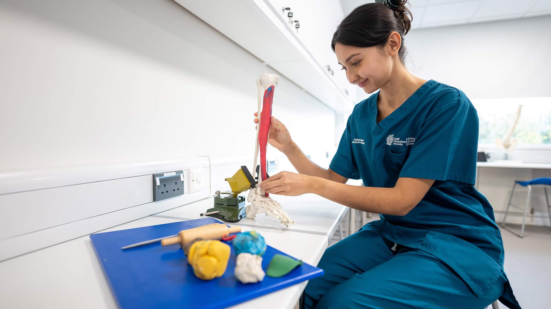 A woman in medical scrubs sits at a desk in a lab, examining a model of a leg with muscles and bones. Various anatomical models and tools are on the desk. She appears focused and engaged in her work.