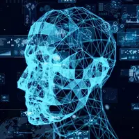 Computer-generated illustration showing a wireframe representation of a human head.
