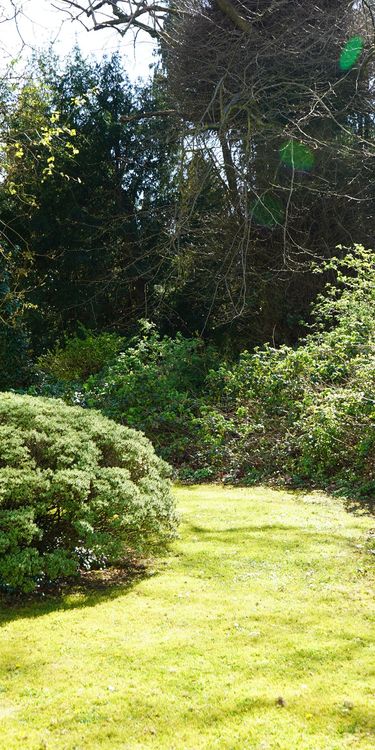 A green space on a sunny day on Cardiff Met campus