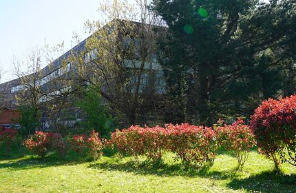 Flowers and green space on a sunny day at the Llandaff campus