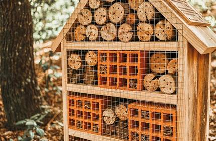 Wooden bee boxes with an open front