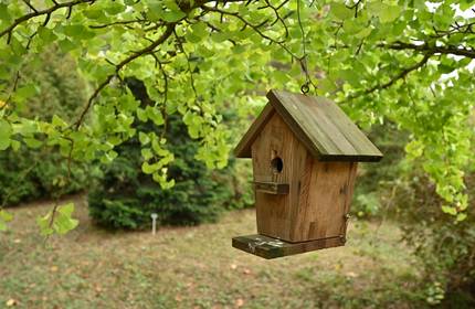 Wooden bird box in a wooded area