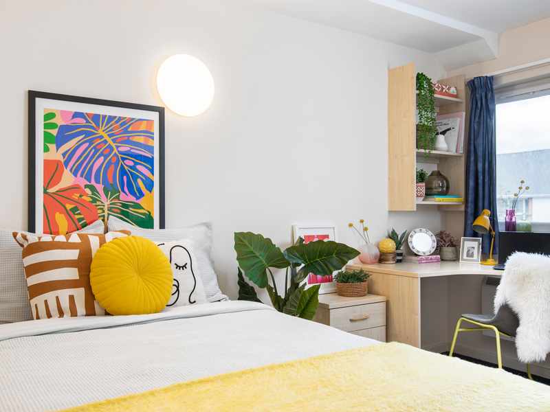 A large student accommodation bedroom with bed and study desk