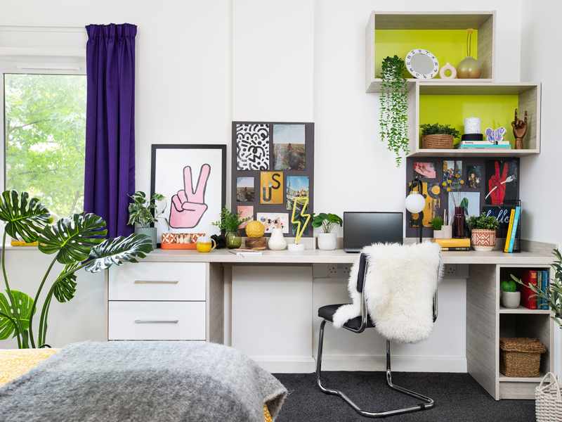 Student accommodation and shelves decorated with various artworks and plants
