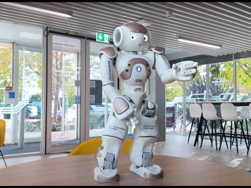 Humanoid robot