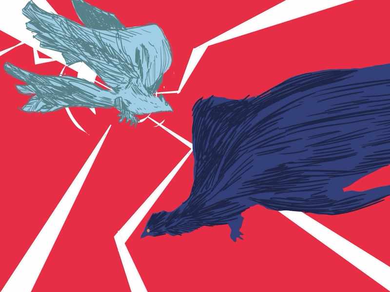 Two hand-drawn birds in front of a striking red background