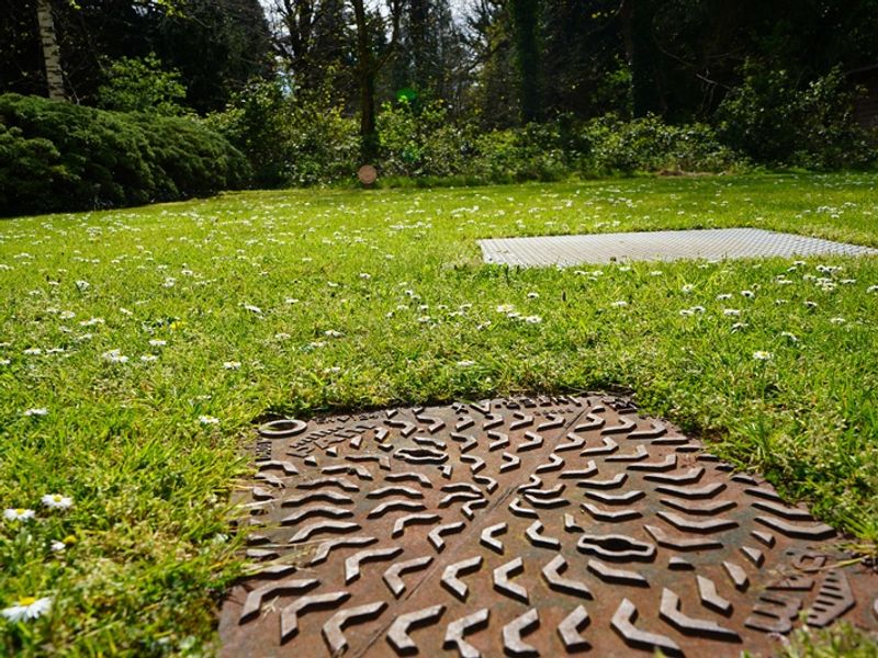 Manhole cover in a field of grass