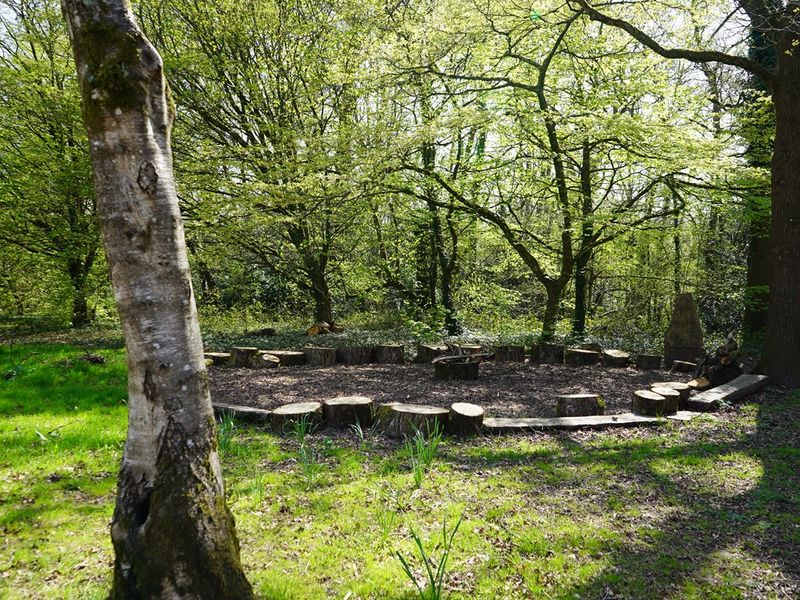 A green space in between trees on Cyncoed campus