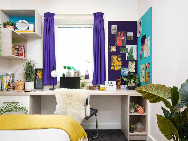 A small room featuring a desk, a bed, and a green plant in the corner, creating a cozy atmosphere.