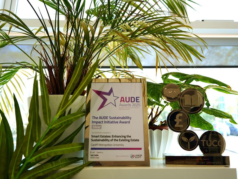 A framed certificate and large gold award trophy sit beside planted pots in front of a window