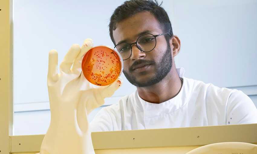 A researcher holds a petri dish with a gloved hand