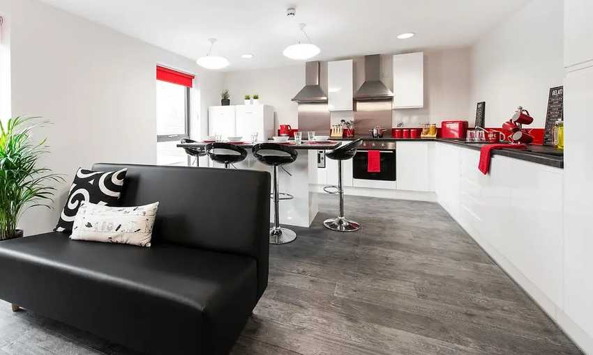A view of a shared living and kitchen room with red decor