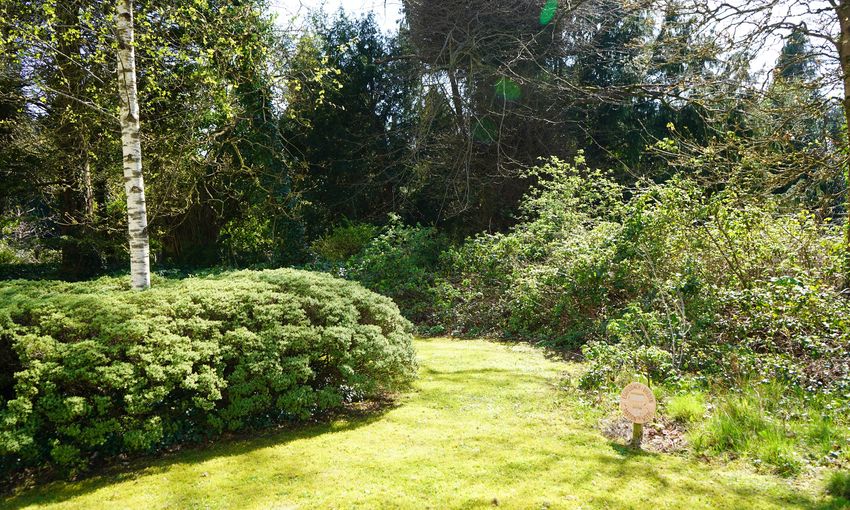 A green space on a sunny day on Cardiff Met campus