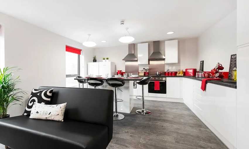 A view of a shared living and kitchen room with red decor