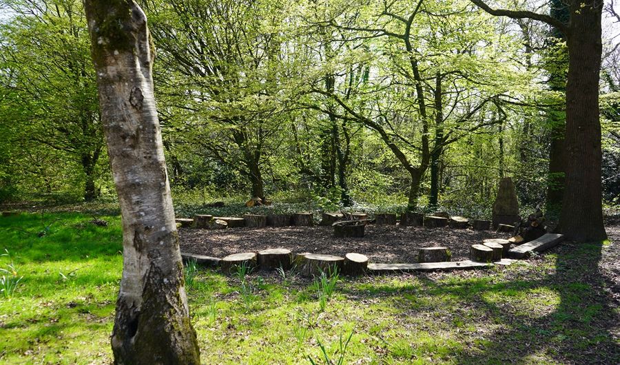 A green space in between trees on Cyncoed campus