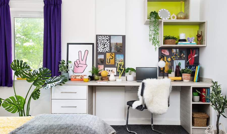 Student accommodation and shelves decorated with various artworks and plants