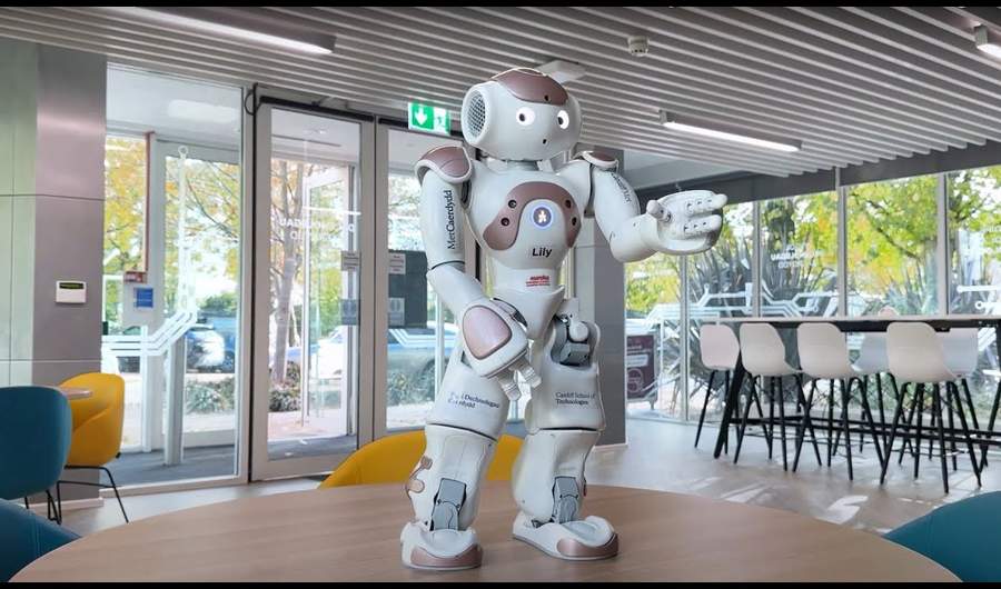 Humanoid robot