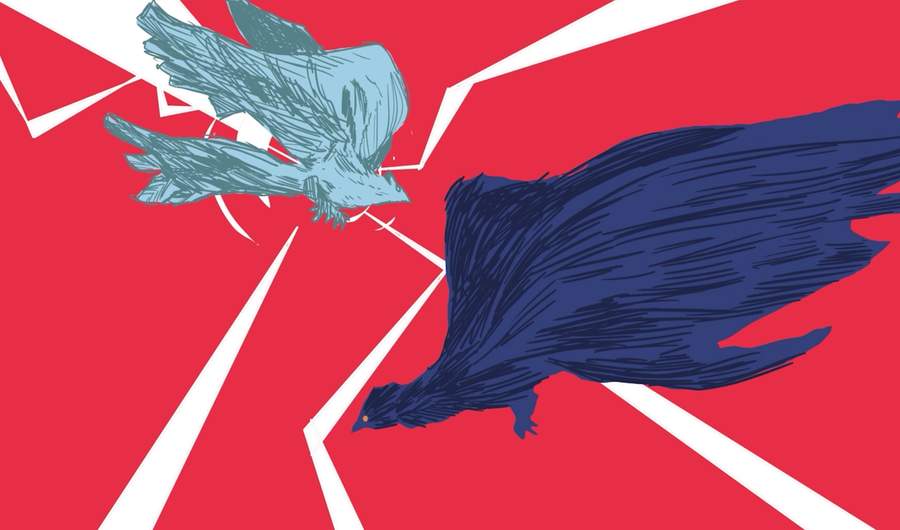 Two hand-drawn birds in front of a striking red background